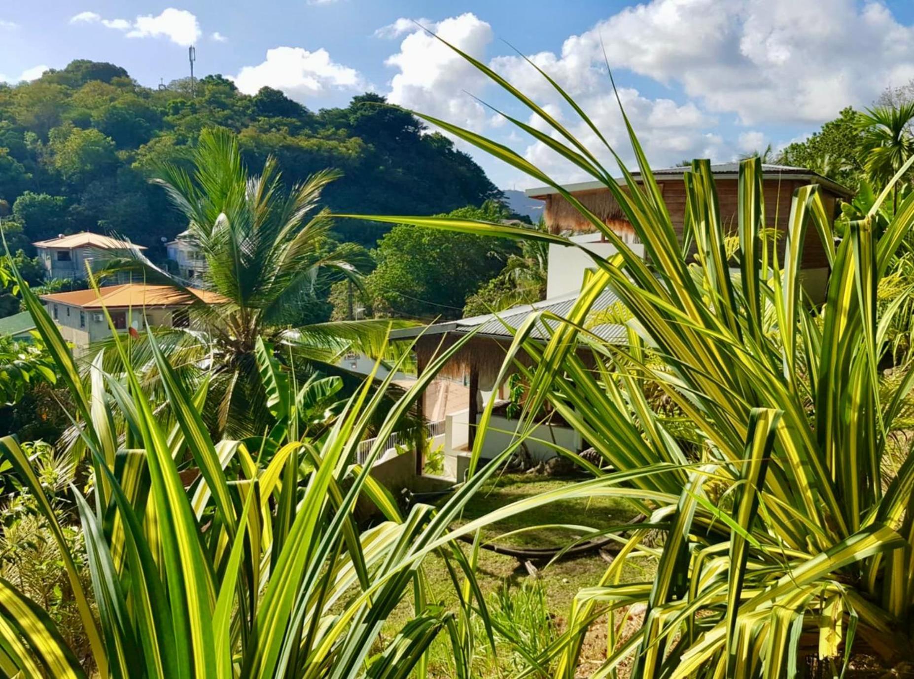 Appartamento Cocotier, Elegant T3 Avec Jardin Tropical Sainte-Anne Esterno foto